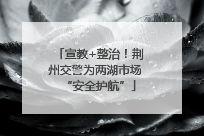 宣教+整治！荆州交警为两湖市场“安全护航”
