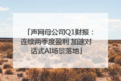 声网母公司Q1财报：连续两季度盈利 加速对话式AI场景落地