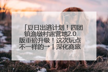 夏日出逃计划！四团镇渔墩村露营地2.0版重磅升级！这次玩点不一样的→丨深化商旅文体农展融合