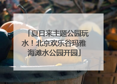 夏日来主题公园玩水！北京欢乐谷玛雅海滩水公园开园