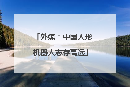 外媒：中国人形机器人志存高远