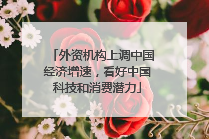 外资机构上调中国经济增速，看好中国科技和消费潜力