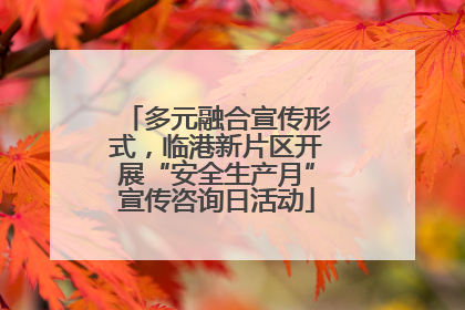 多元融合宣传形式，临港新片区开展“安全生产月”宣传咨询日活动