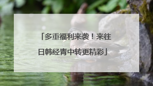 多重福利来袭！来往日韩经青中转更精彩
