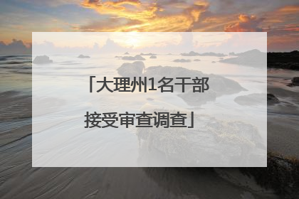 大理州1名干部接受审查调查