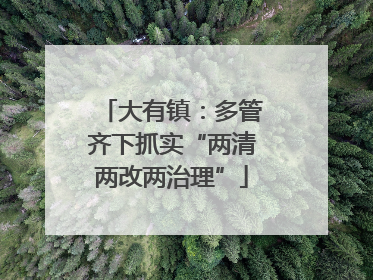大有镇：多管齐下抓实“两清两改两治理”