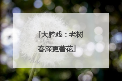 大腔戏：老树春深更著花