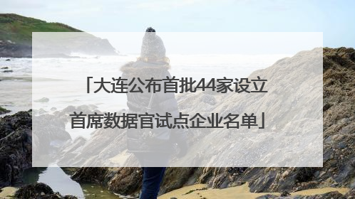大连公布首批44家设立首席数据官试点企业名单