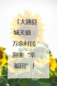 大通县城关镇：万余村民迎来“幸福田”