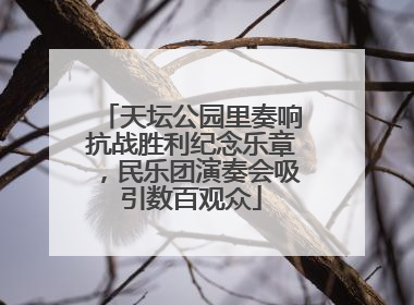 天坛公园里奏响抗战胜利纪念乐章，民乐团演奏会吸引数百观众