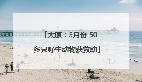 太原：5月份 50多只野生动物获救助