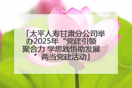 太平人寿甘肃分公司举办2025年“党建引领聚合力 学思践悟助发展”两当党建活动