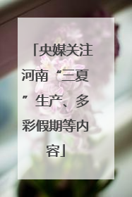 央媒关注河南“三夏”生产、多彩假期等内容