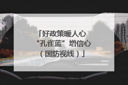 好政策暖人心 “孔雀蓝”增信心（国防视线）