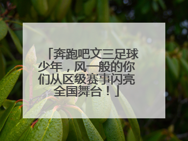 奔跑吧文三足球少年，风一般的你们从区级赛事闪亮全国舞台！