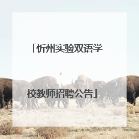 忻州实验双语学校教师招聘公告