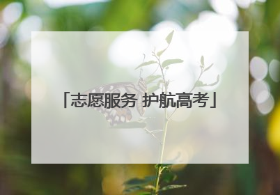 志愿服务 护航高考