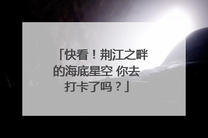 快看!荆江之畔的海底星空 你去打卡了吗?