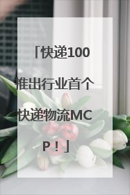 快递100推出行业首个快递物流MCP！
