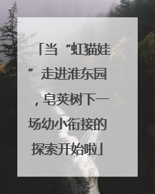 当“虹猫娃”走进淮东园，皂荚树下一场幼小衔接的探索开始啦