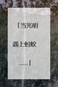 当光明遇上蚂蚁……