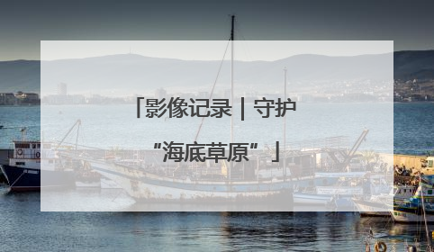 影像记录｜守护“海底草原”