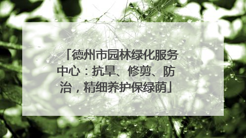 德州市园林绿化服务中心：抗旱、修剪、防治，精细养护保绿荫