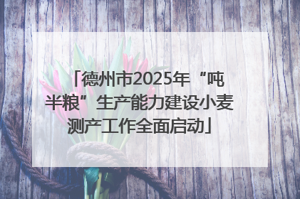 德州市2025年“吨半粮”生产能力建设小麦测产工作全面启动