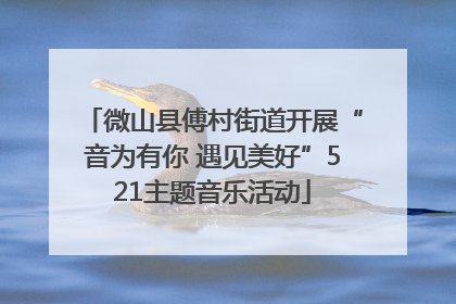 微山县傅村街道开展“音为有你 遇见美好”521主题音乐活动