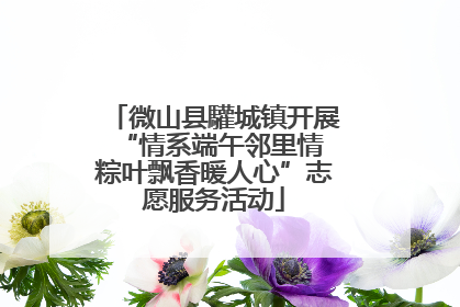 微山县驩城镇开展“情系端午邻里情 粽叶飘香暖人心”志愿服务活动