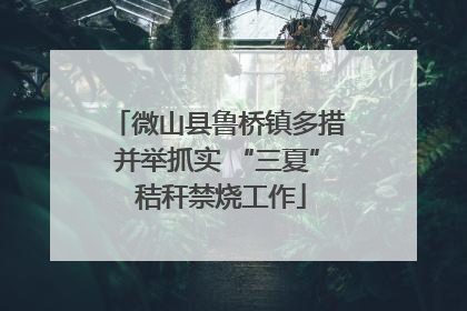微山县鲁桥镇多措并举抓实 “三夏” 秸秆禁烧工作