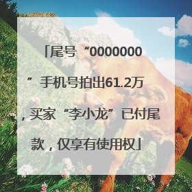 尾号“0000000”手机号拍出61.2万，买家“李小龙”已付尾款，仅享有使用权