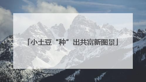 小土豆“种”出共富新图景