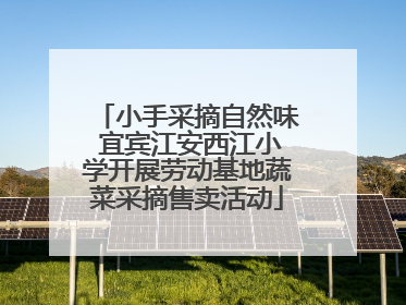 小手采摘自然味 宜宾江安西江小学开展劳动基地蔬菜采摘售卖活动