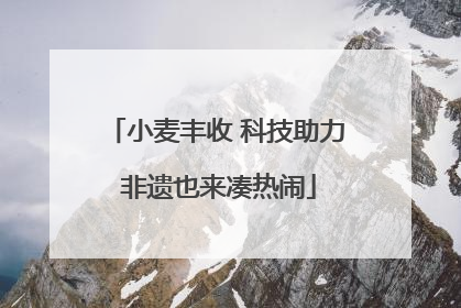 小麦丰收 科技助力 非遗也来凑热闹
