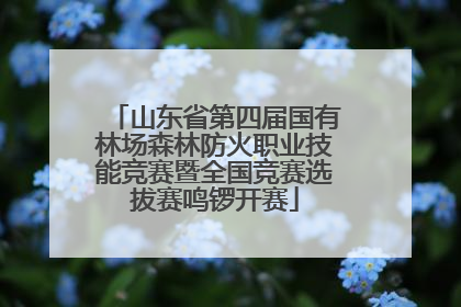 山东省第四届国有林场森林防火职业技能竞赛暨全国竞赛选拔赛鸣锣开赛