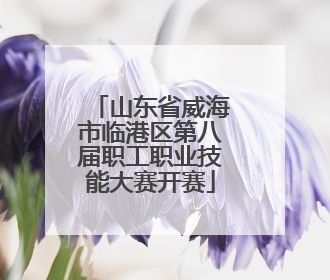 山东省威海市临港区第八届职工职业技能大赛开赛