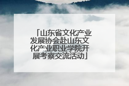 山东省文化产业发展协会赴山东文化产业职业学院开展考察交流活动