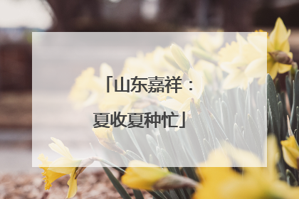 山东嘉祥：夏收夏种忙