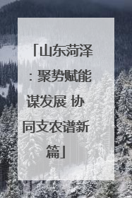 山东菏泽：聚势赋能谋发展 协同支农谱新篇