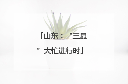 山东：“三夏”大忙进行时