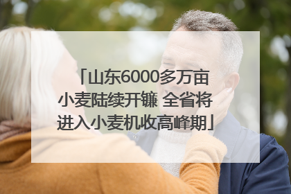山东6000多万亩小麦陆续开镰 全省将进入小麦机收高峰期