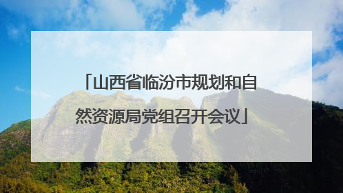 山西省临汾市规划和自然资源局党组召开会议