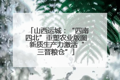 山西运城：“四南四北”重塑农业版图 新质生产力激活“三晋粮仓”