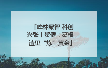 峰林聚智 科创兴张丨贺健：葛根渣里“炼”黄金