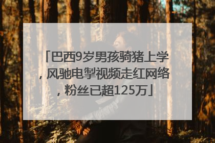 巴西9岁男孩骑猪上学，风驰电掣视频走红网络，粉丝已超125万