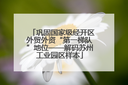 巩固国家级经开区外贸外资“第一梯队”地位——解码苏州工业园区样本