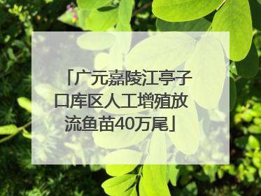 广元嘉陵江亭子口库区人工增殖放流鱼苗40万尾