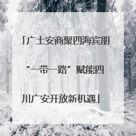 广土安商聚四海宾朋 “一带一路”赋能四川广安开放新机遇