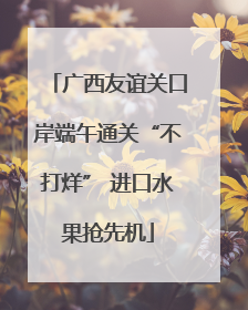 广西友谊关口岸端午通关“不打烊” 进口水果抢先机